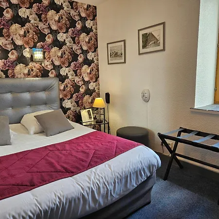 Отель Logis Hotel-restaurant Le Val D'amby 3*